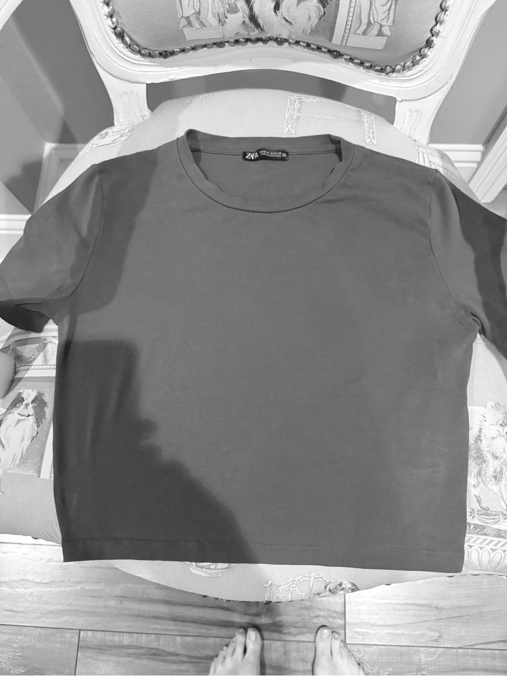 Zara Short Sleeve Cropped Tee in Gray